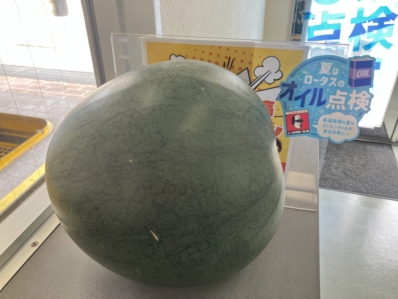 夏季休業のお知らせ